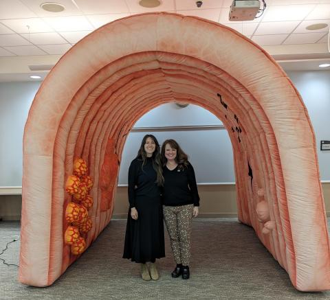 Free Clinic_Inflatable Colon
