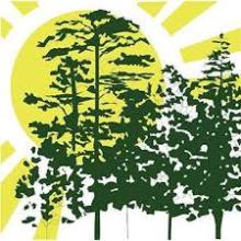 500-Year Forest Foundation logo