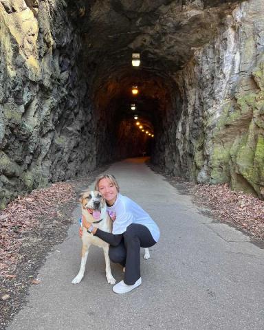 Archie the dog on petcation