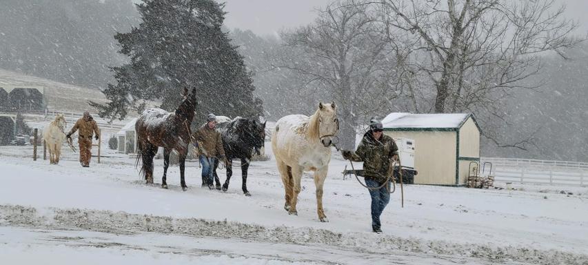 Snow day at Valor Farm