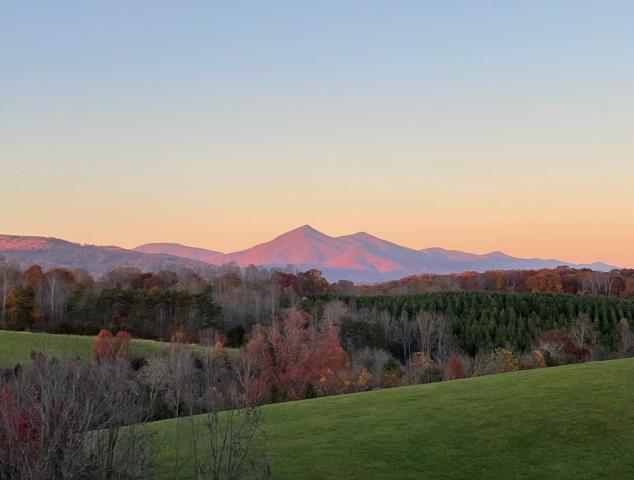 Blue Ridge Mountain View