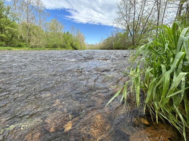 Tye River - Nelson County