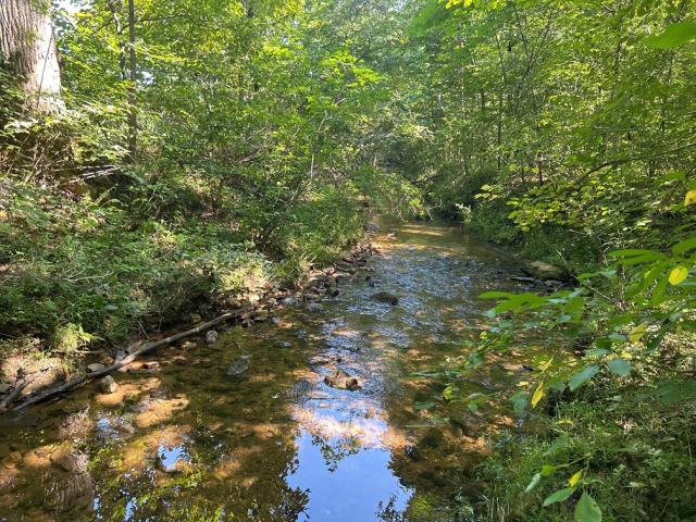 Wreck Island Creek - Appomattox Co.